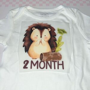 - You pick size- made to order baby onesie milestone 2 months